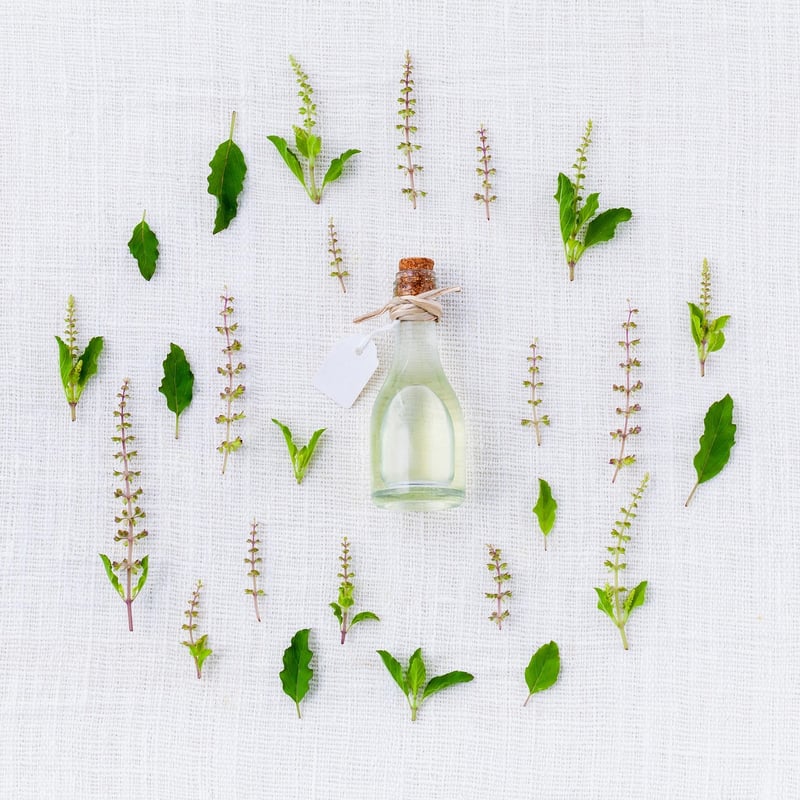 Mugwort Plant